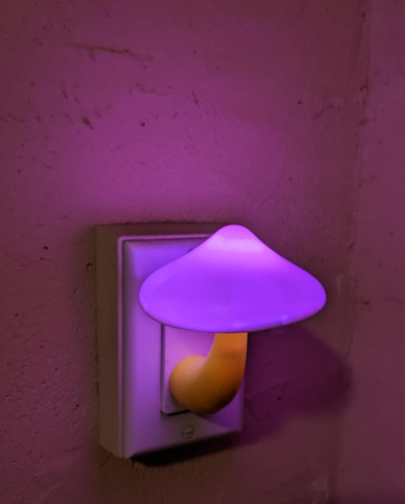 Mushroom LED Night Light - Yellow - Customer Photo From marcy siebersma 