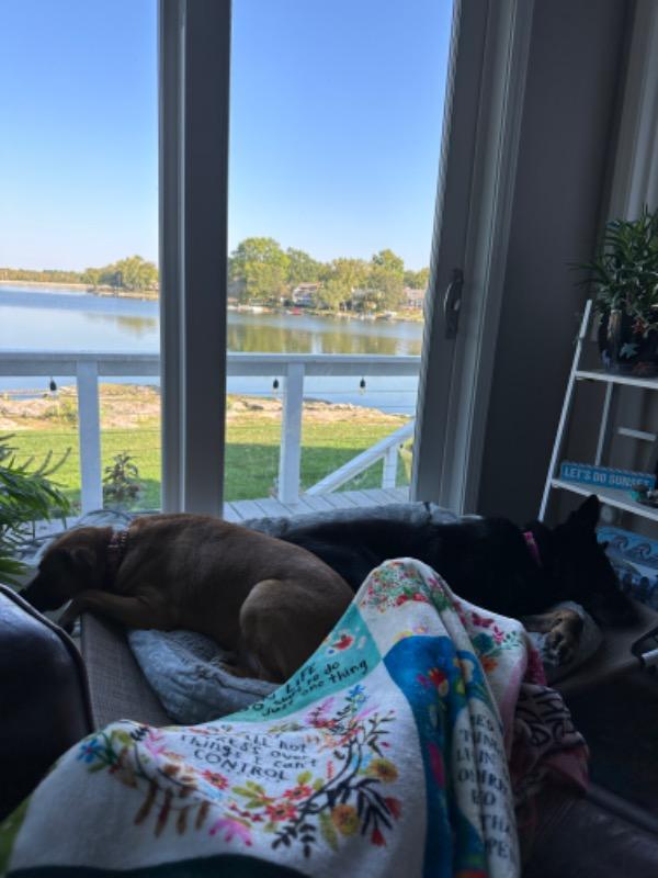 XL Double-Sided Cozy Blanket - 2021 Top Chirps - Customer Photo From Anna Floersch