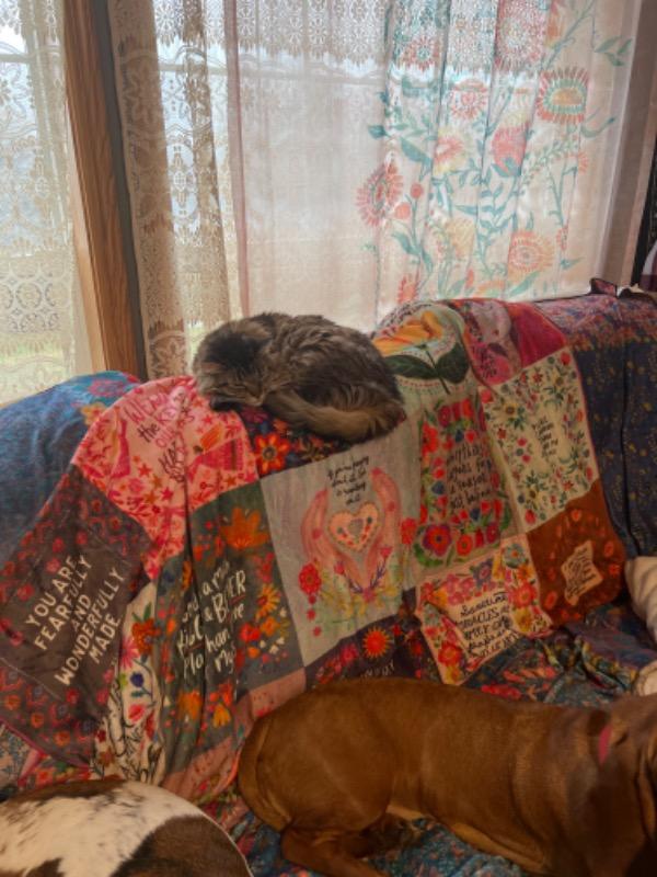 XL Double-Sided Cozy Blanket - Blessings Chirps - Customer Photo From Kaelynn Corben