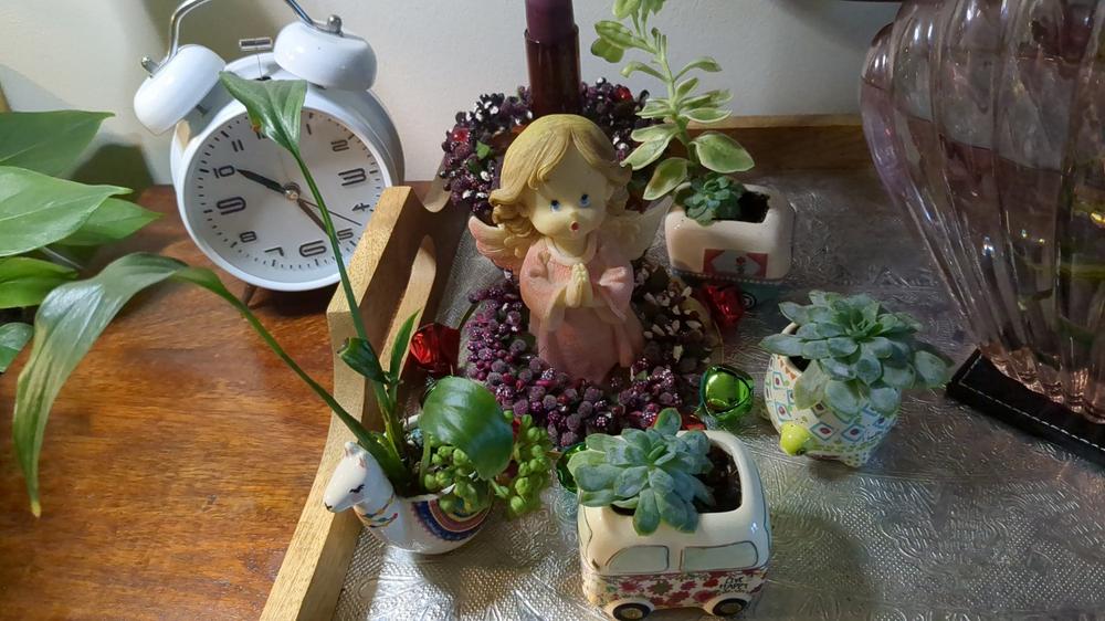 Tiny Faux Succulents - Camper - Customer Photo From Gabriela Sargu 