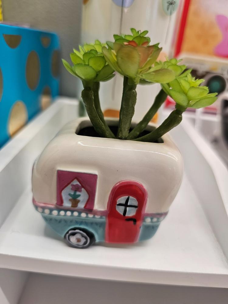 Tiny Faux Succulents - Camper - Customer Photo From Becky Utley