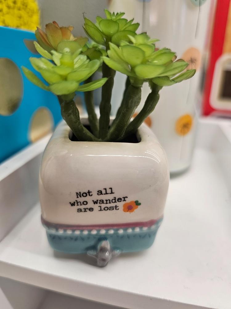 Tiny Faux Succulents - Camper - Customer Photo From Becky Utley
