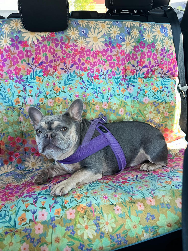 Back Car Seat Cover - Wildflower Border - Customer Photo From Jaymee Vowell