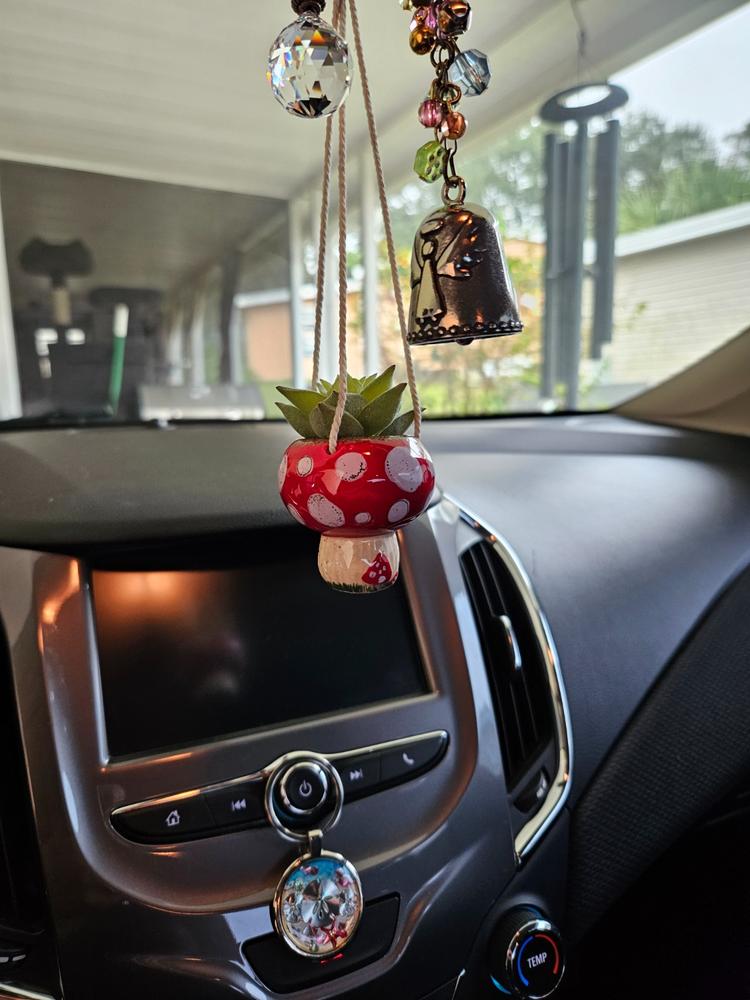 Faux Succulent Car Charm - Mushroom - Customer Photo From Julie Hartzler