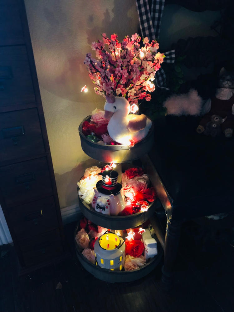 Blossom String Lights - Rose - Customer Photo From Sarah Pritchard