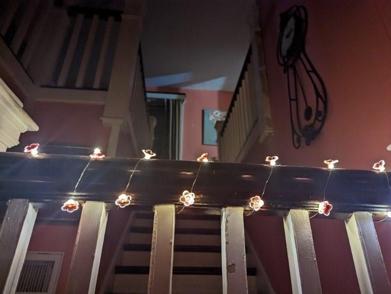 Blossom String Lights - Rose - Customer Photo From Kimberly Smith