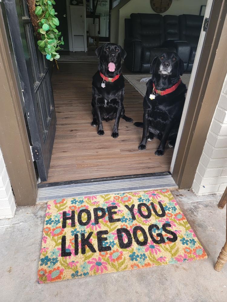 Bungalow Doormat - Dogs - Customer Photo From Dee Tilley