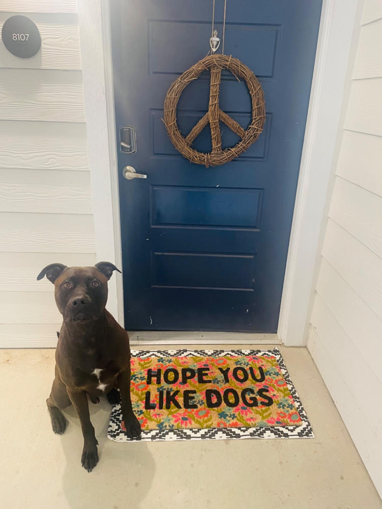 Bungalow Doormat - Dogs - Customer Photo From Angela Hall