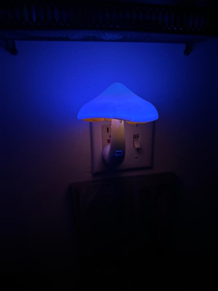 XL Mushroom LED Night Light - White - Customer Photo From Robbin Hildreth