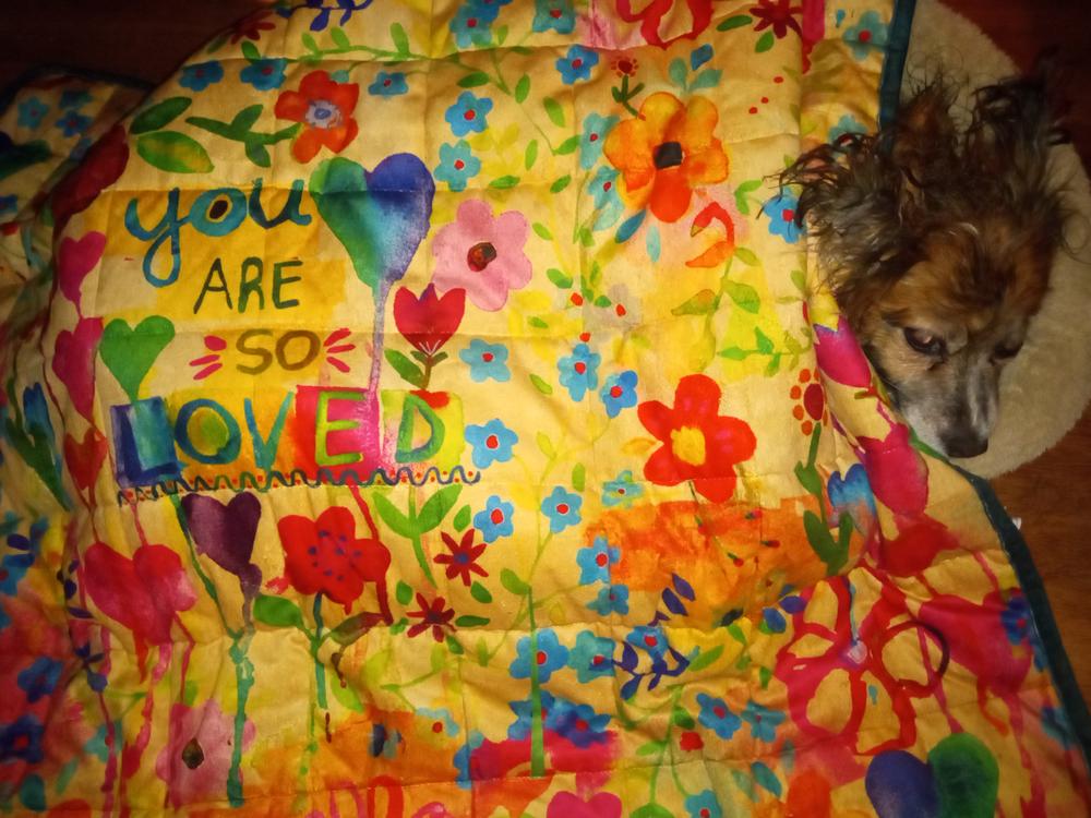 Weighted Pet or Lap Blanket - You Are So Loved - Customer Photo From Rory