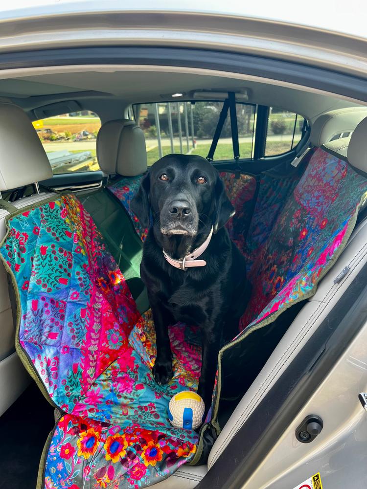 Pet Hammock Backseat Cover - Customer Photo From Stacy