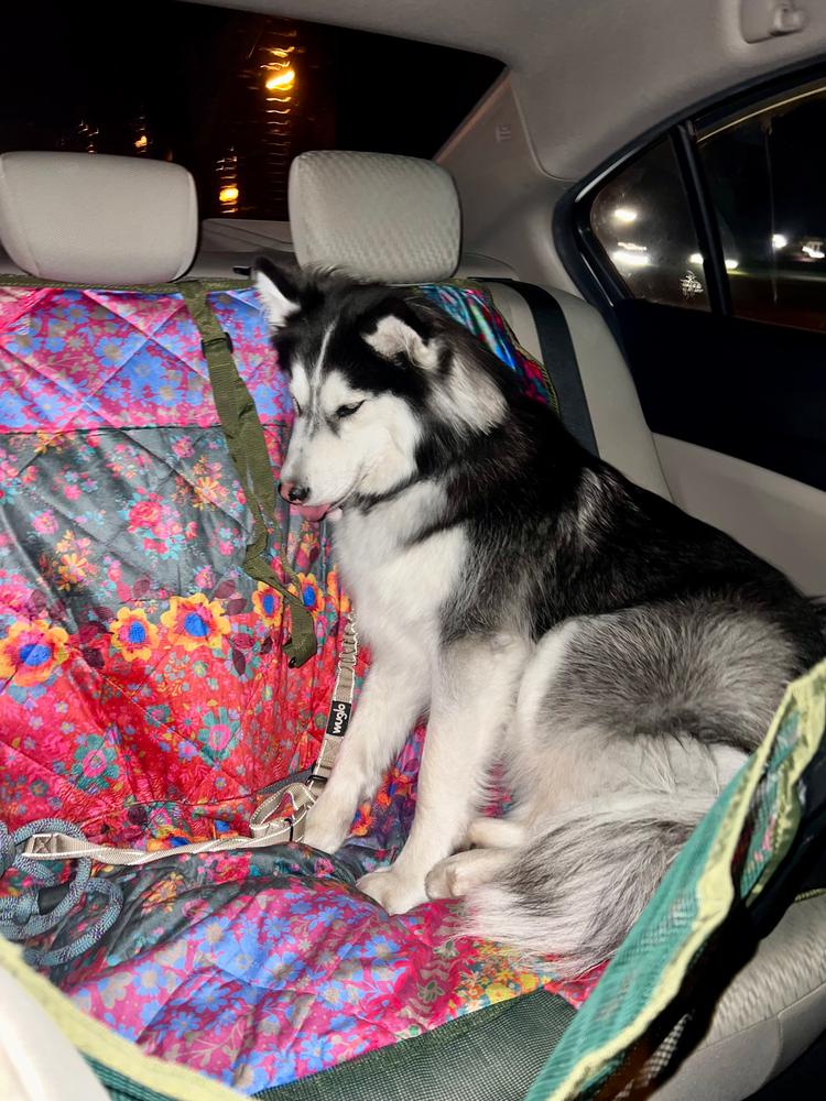 Pet Hammock Backseat Cover - Customer Photo From Gabby