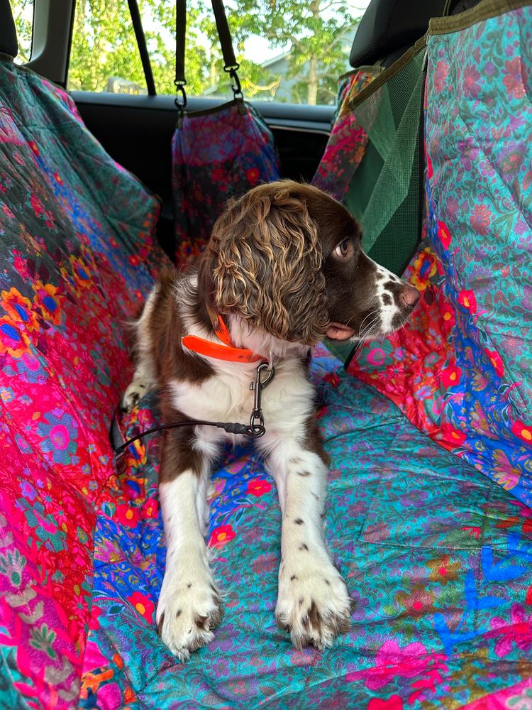 Pet Hammock Backseat Cover - Customer Photo From Madeline