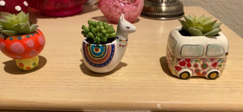 Tiny Faux Succulents - Mushroom - Customer Photo From Cassie 