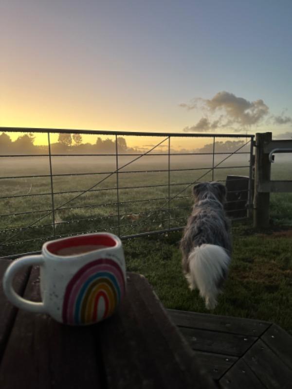Artisan Rainbow Coffee Mug - Cup of Gratitude - Customer Photo From A J Davis