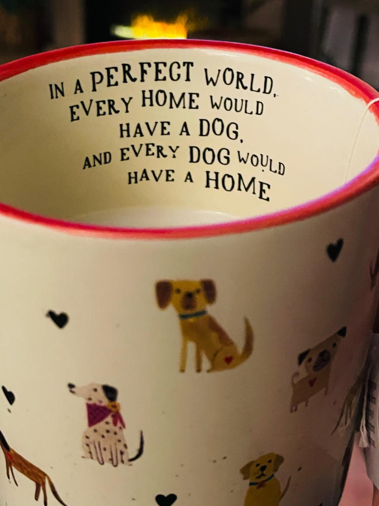 Bungalow Mug - Every Home Has A Dog - Customer Photo From Laura Pita