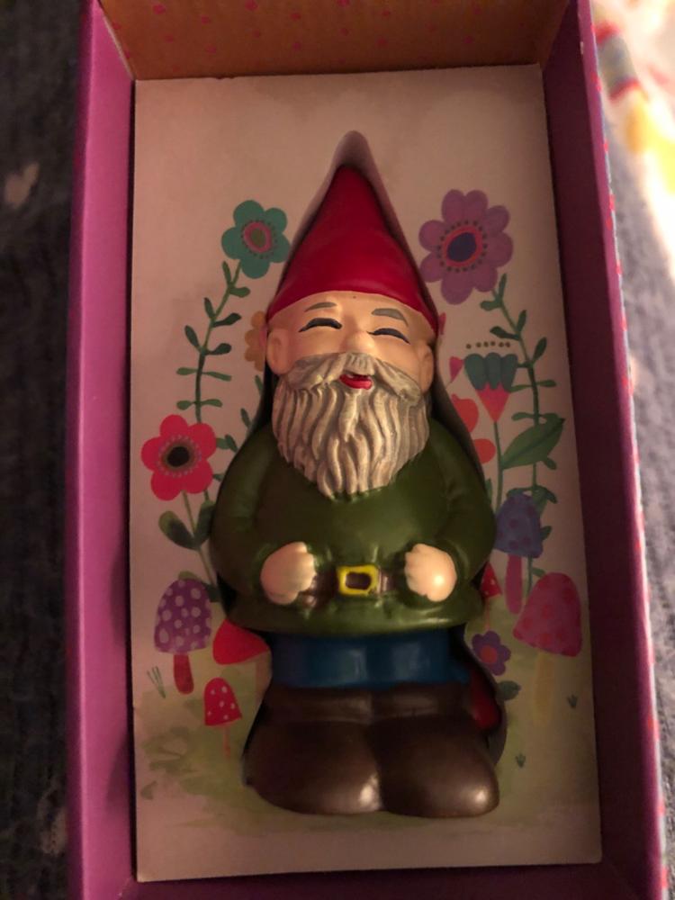 Garden Gnome In A Box - Customer Photo From Carolyn Haskell
