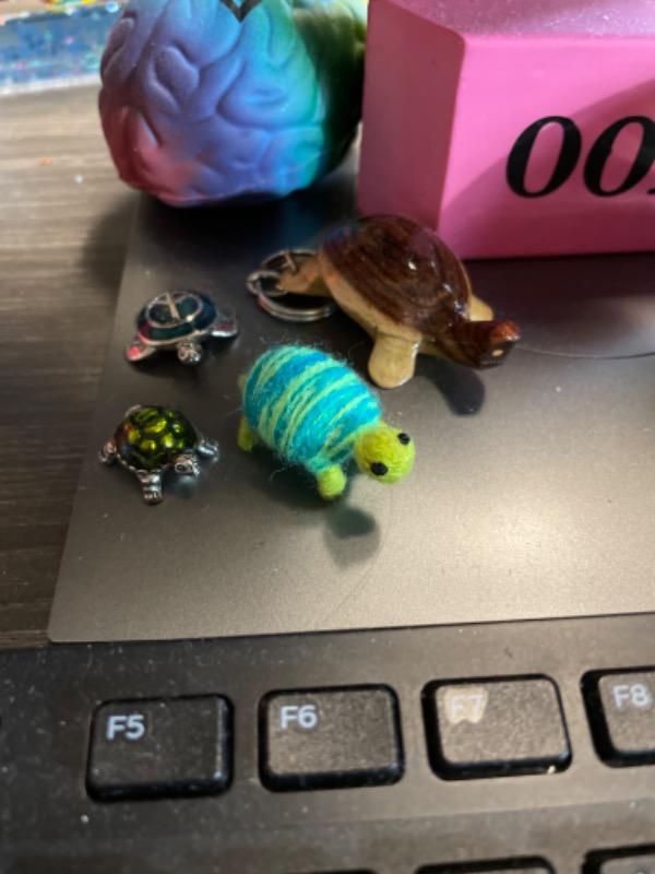 Worry Doll - Turtle - Customer Photo From Natalie Palacios