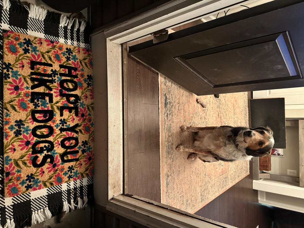 Bungalow Doormat - Like Dogs Cream - Customer Photo From brittany hartford