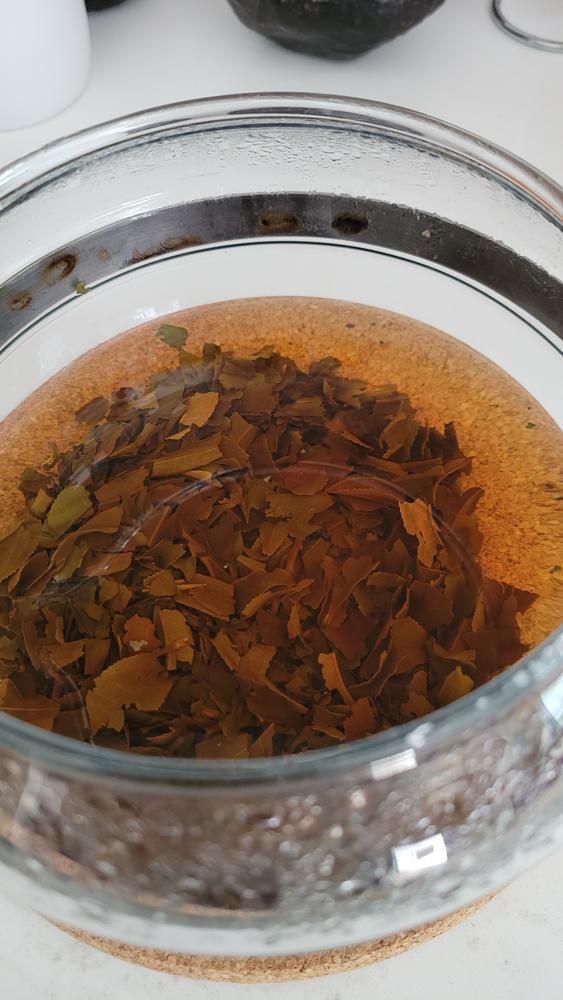 Darjeeling First Flush - Black Tea – Genuine Tea
