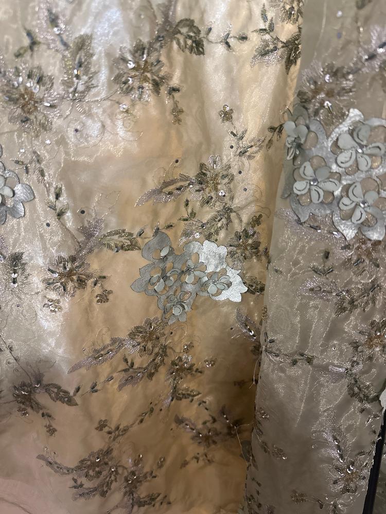 Olive Double Layered Organza with Beads & Sequins - Customer Photo From Kassi