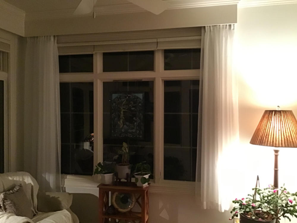 Sheer Voile (118 Inch) - Fire Retardant - Customer Photo From Marion Miller