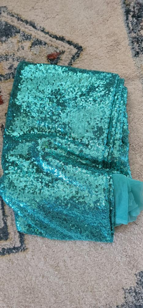 All-Over Micro Sequins Starlight on Stretch Mesh - Customer Photo From Sherrie Nash