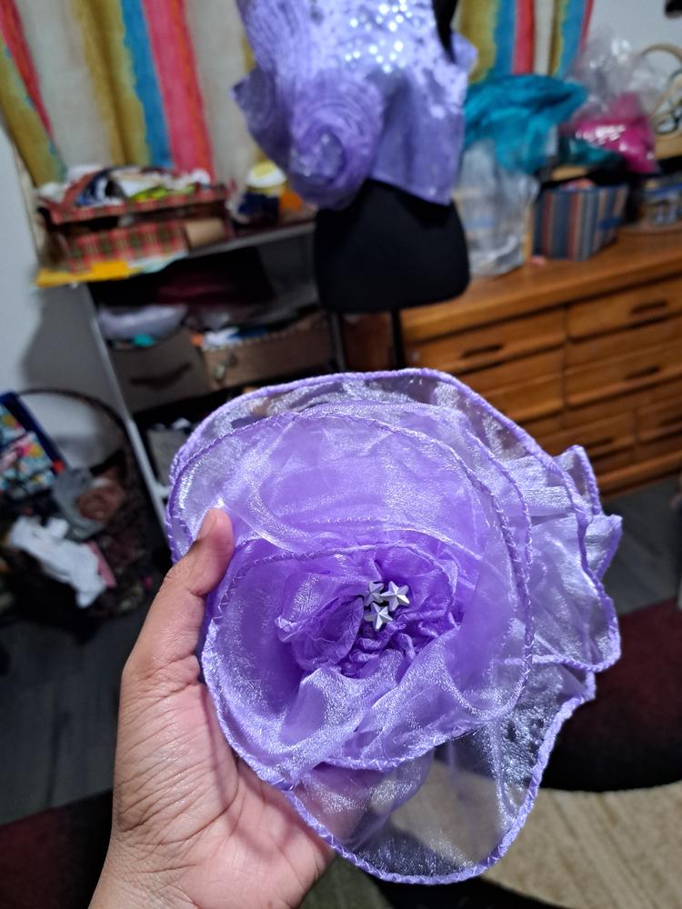 Crystal Organza Printed - Customer Photo From Kanchana