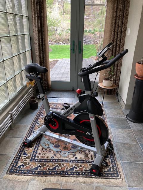 YOSUDA YB001R Magnetic Exercise Bike - Customer Photo From Alan K