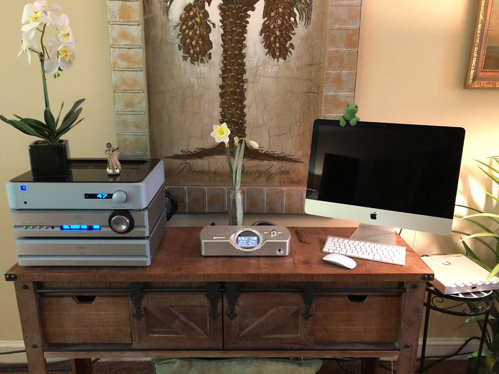 Chord DAVE DAC Preamp Amplifier Moon Audio