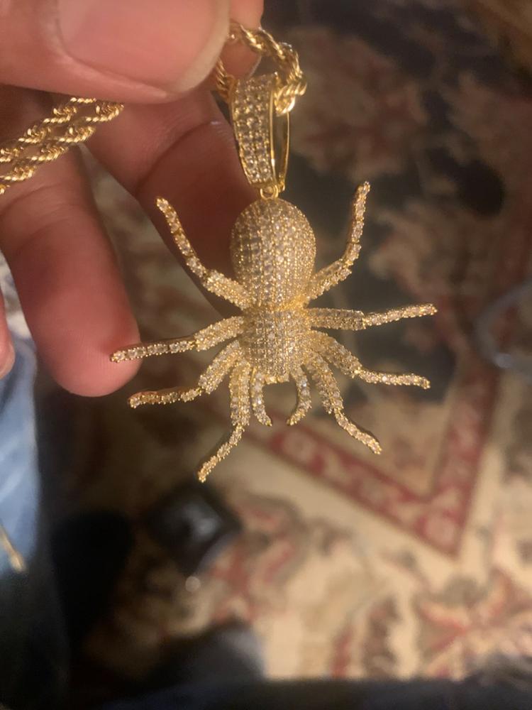18K Gold-Plated AAA CZ Spider Pendant Necklace - Customer Photo From Richard D.
