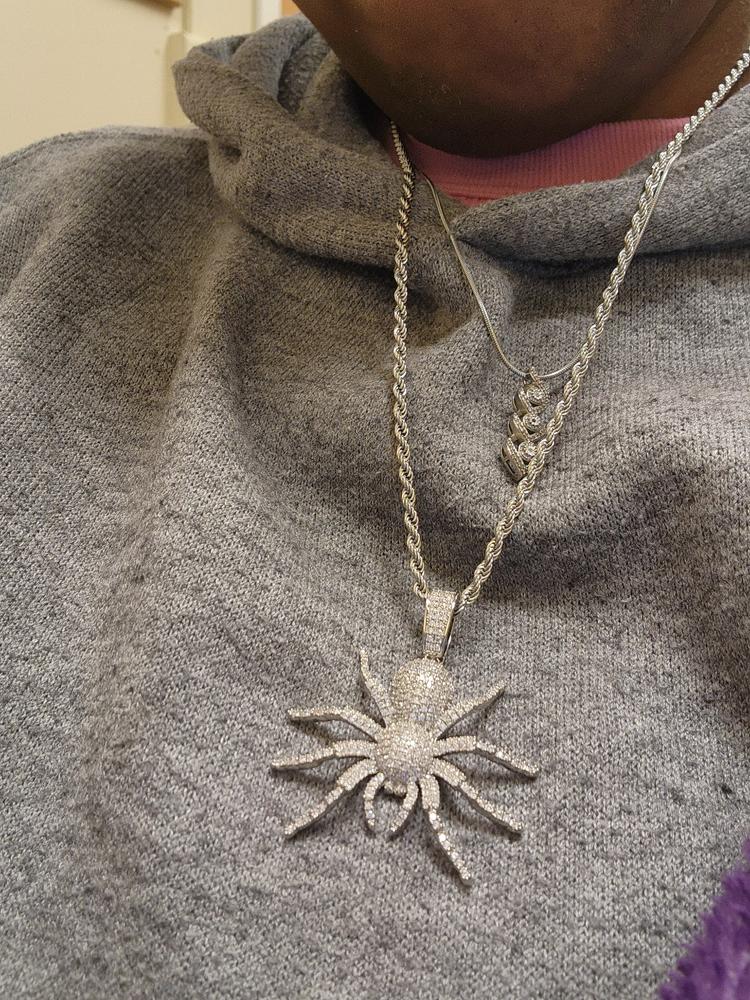 18K Gold-Plated AAA CZ Spider Pendant Necklace - Customer Photo From Moselle W.