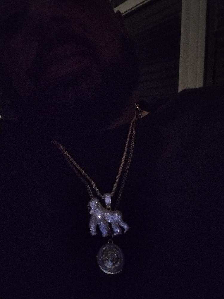 Iced AAA CZ Gorilla Pendant In 18K Yellow Gold-Plated - Customer Photo From Maurice D.