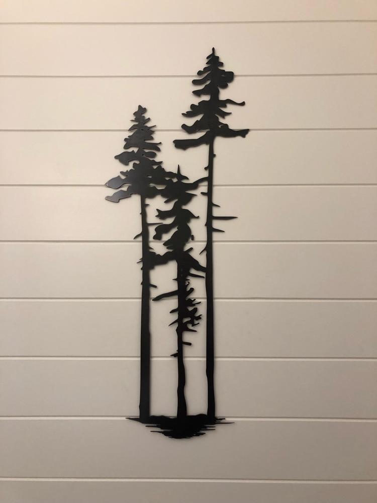 A Grouping of Pine Trees - Customer Photo From Suzanne Wilson