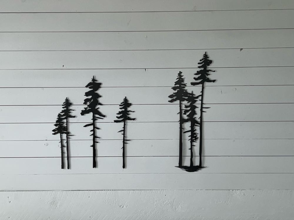A Grouping of Pine Trees - Customer Photo From Osvalda Melo