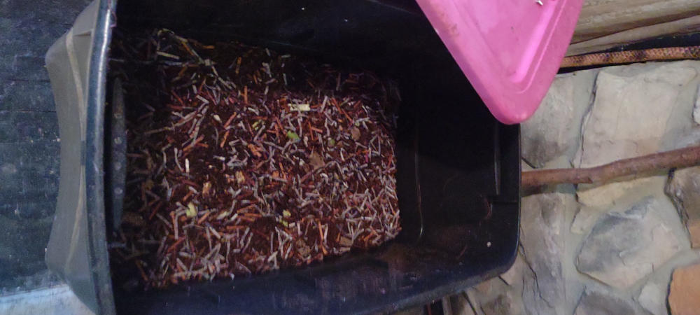 5000 Red Composting Worm Mix - Uncle Jim's Worm Farm