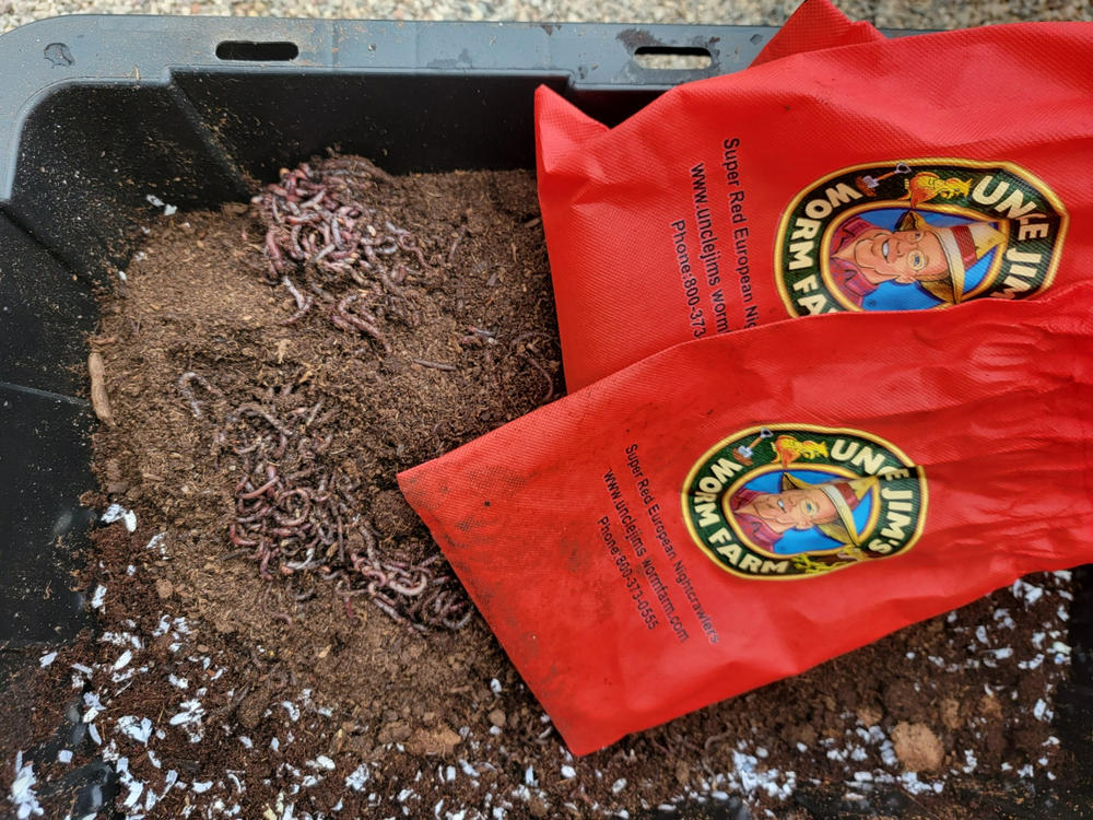 European Nightcrawlers – In More Detail - Red Worm Composting