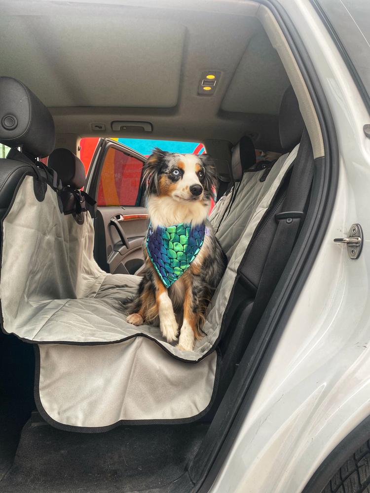 Dog Hammock Car Seat Cover | 4Knines®