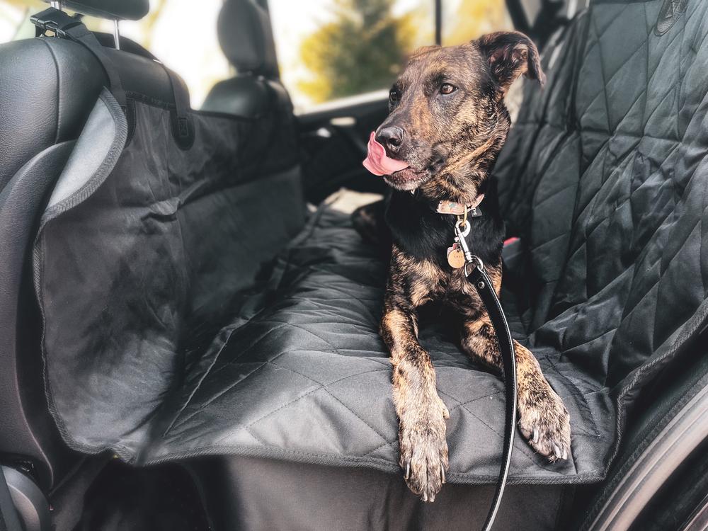 Dog Hammock Car Seat Cover 4Knines®