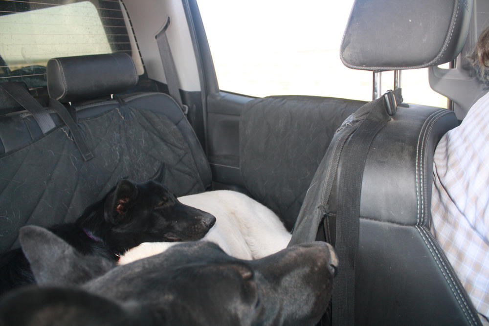 Dog Car Seat Hammock 4Knines®