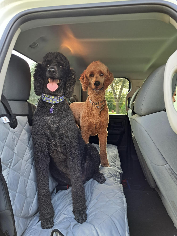 XL Car Seat Cover for Dogs and Pets –