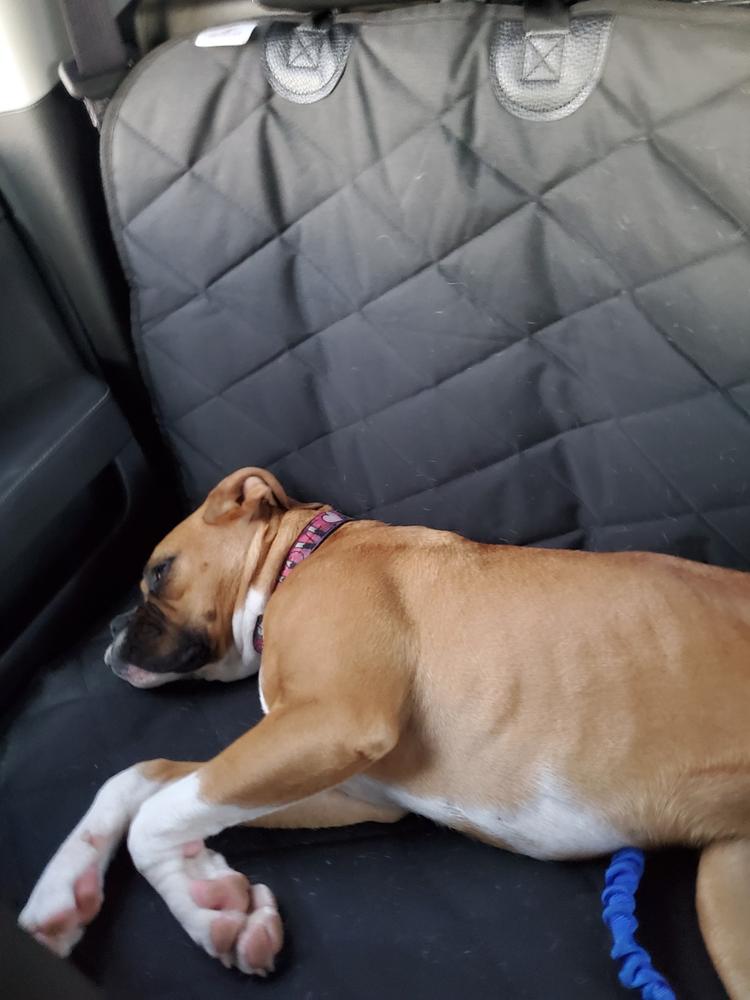 Dog Car Seat Hammock 