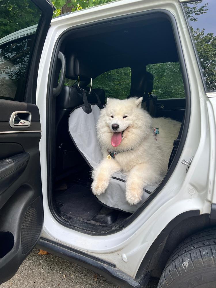 Ultra Waterproof Dog Hammock for Car / Car Backseat Cover for Dog – New  Trend Gadgets