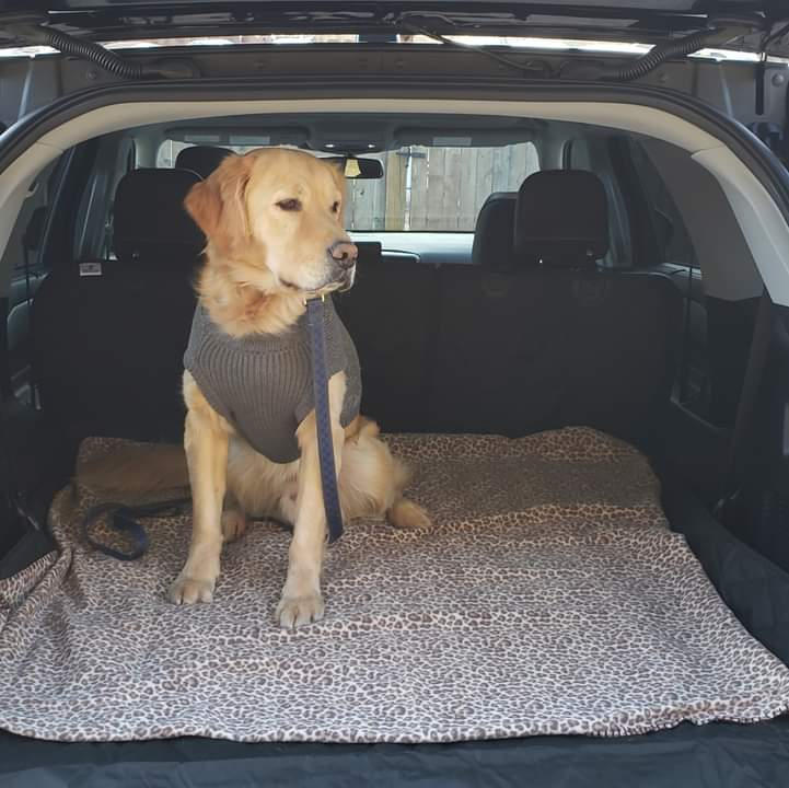 Suv Cargo Liner for Fold Down Seats 4Knines®