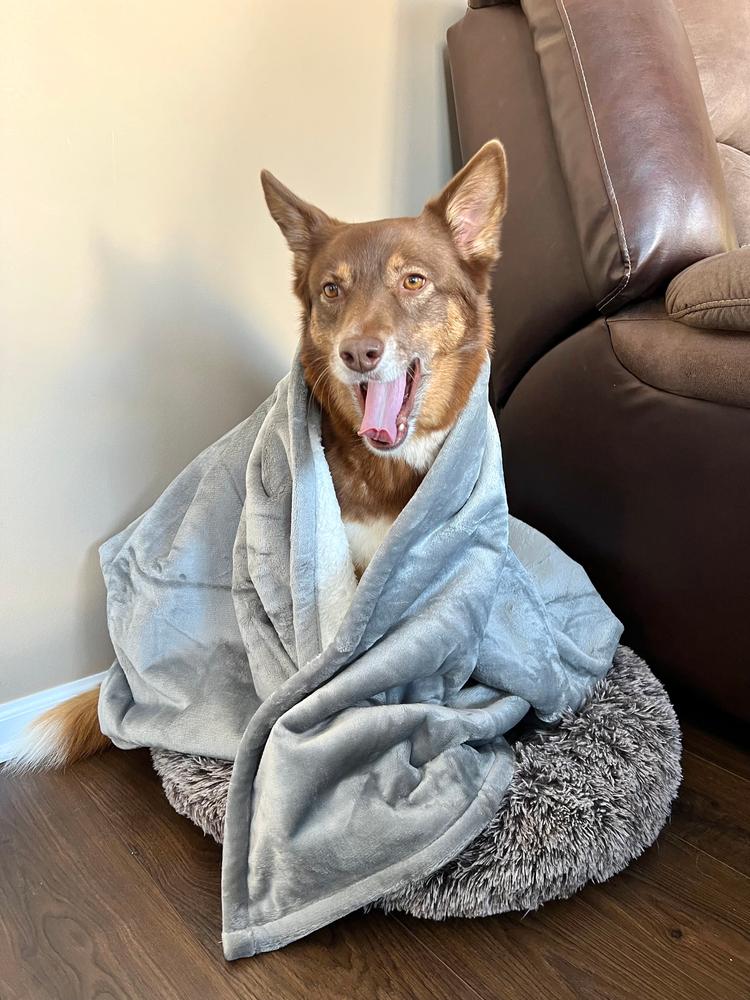 Zoey Weighted Blanket – Zoey Sleep