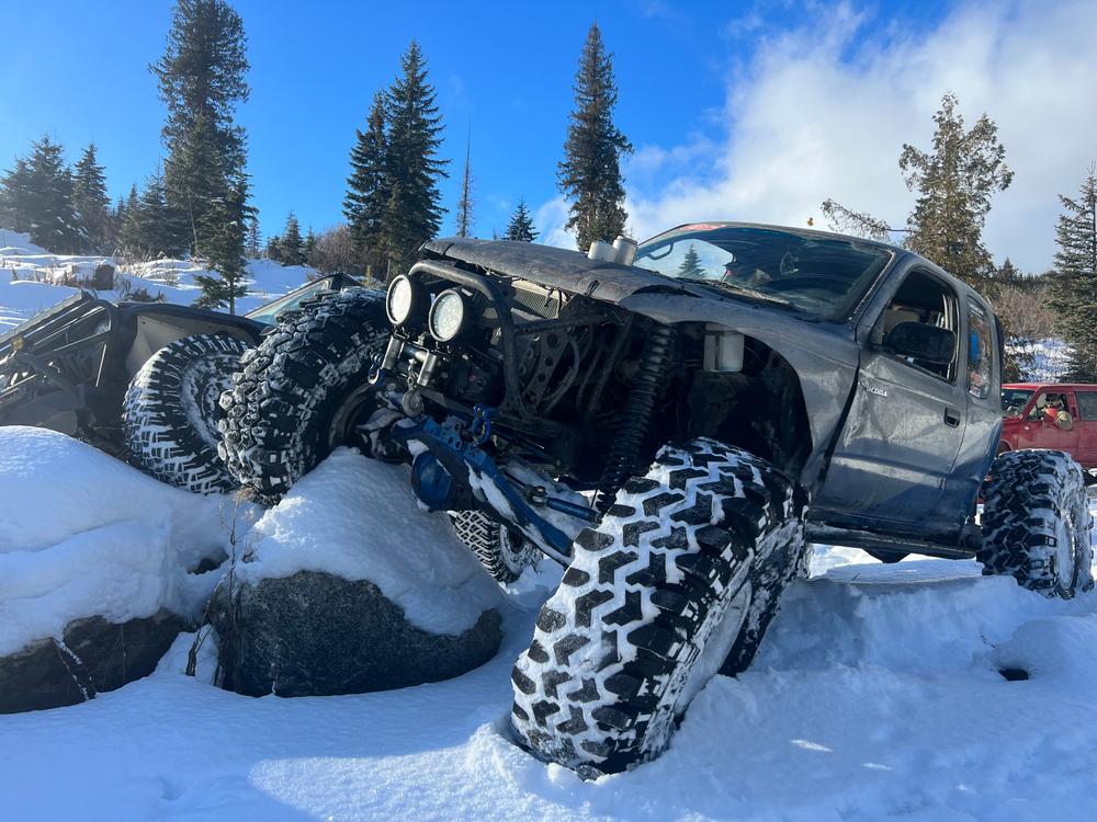 Interco Super Swamper Tires LTB 17X47X17C  - Customer Photo From Paul