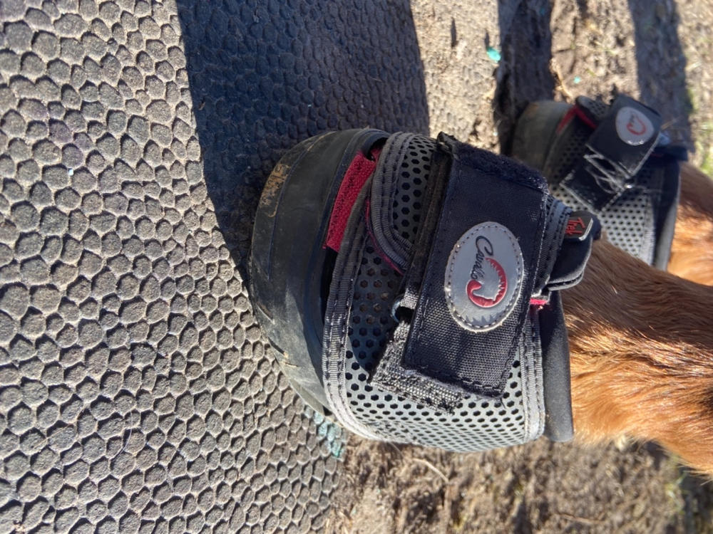 cavallo trek slim boots