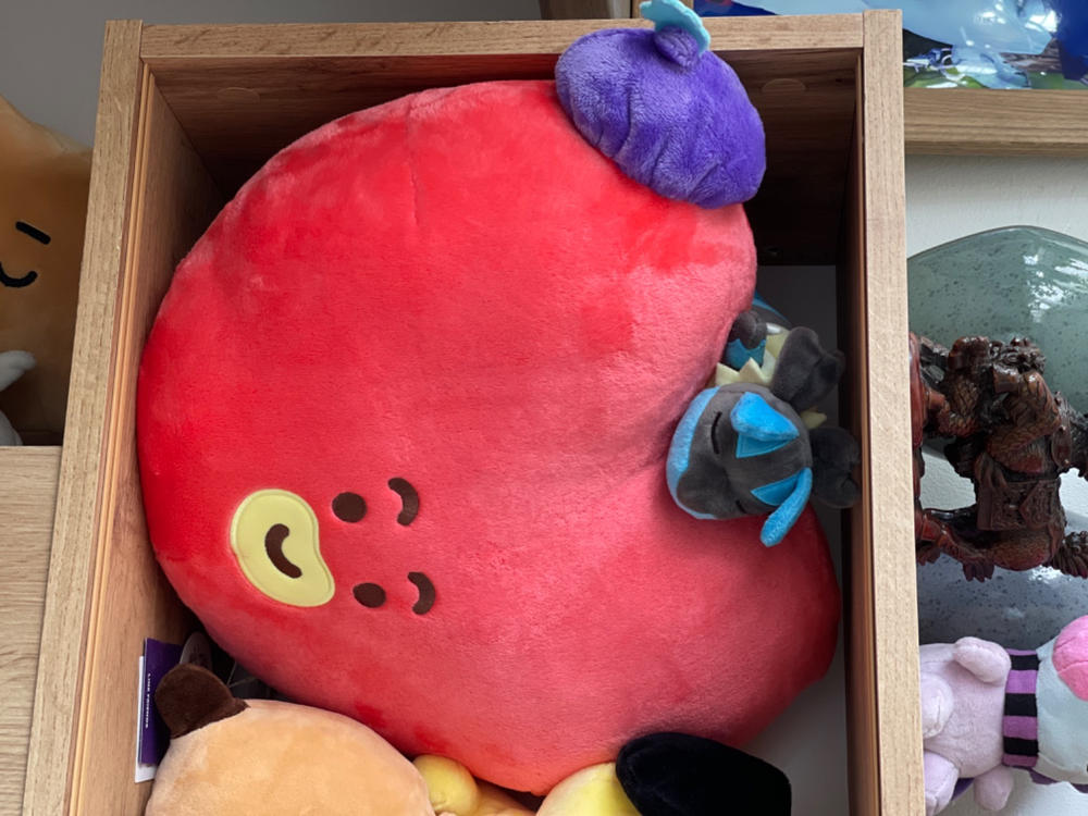 BT21 TATA 홉인럽 얼굴 쿠션 - Customer Photo From Carolina Franek