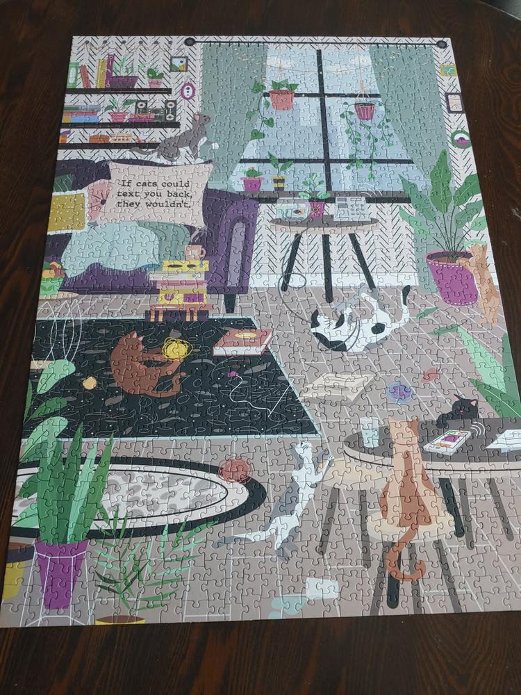 Texting Cats | 1,000 Piece Jigsaw Puzzle - Customer Photo From Alex M