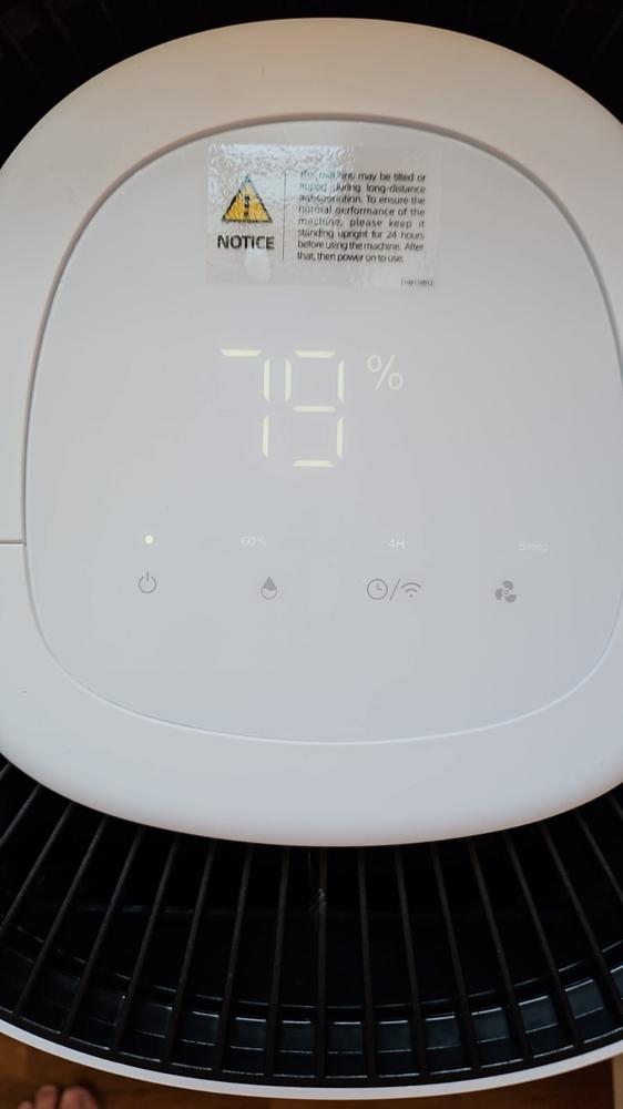 Sterra Sun™ Dehumidifier - Customer Photo From David T.